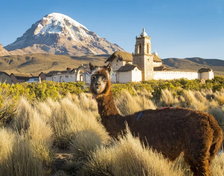 Est-il sûr de voyager seul en Bolivie ?