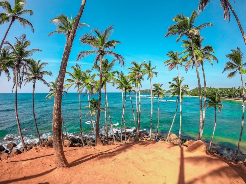 Avis voyage Sri Lanka