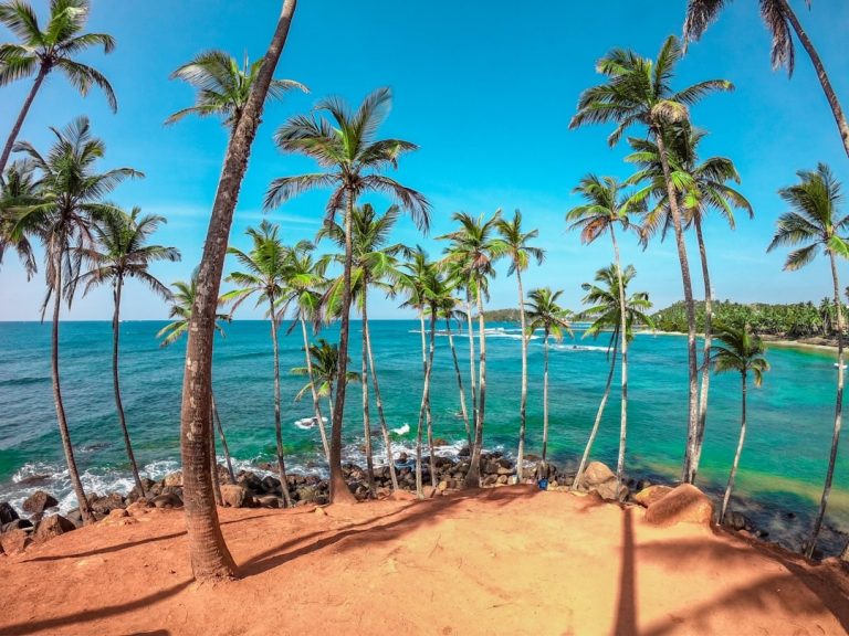 Avis voyage Sri Lanka