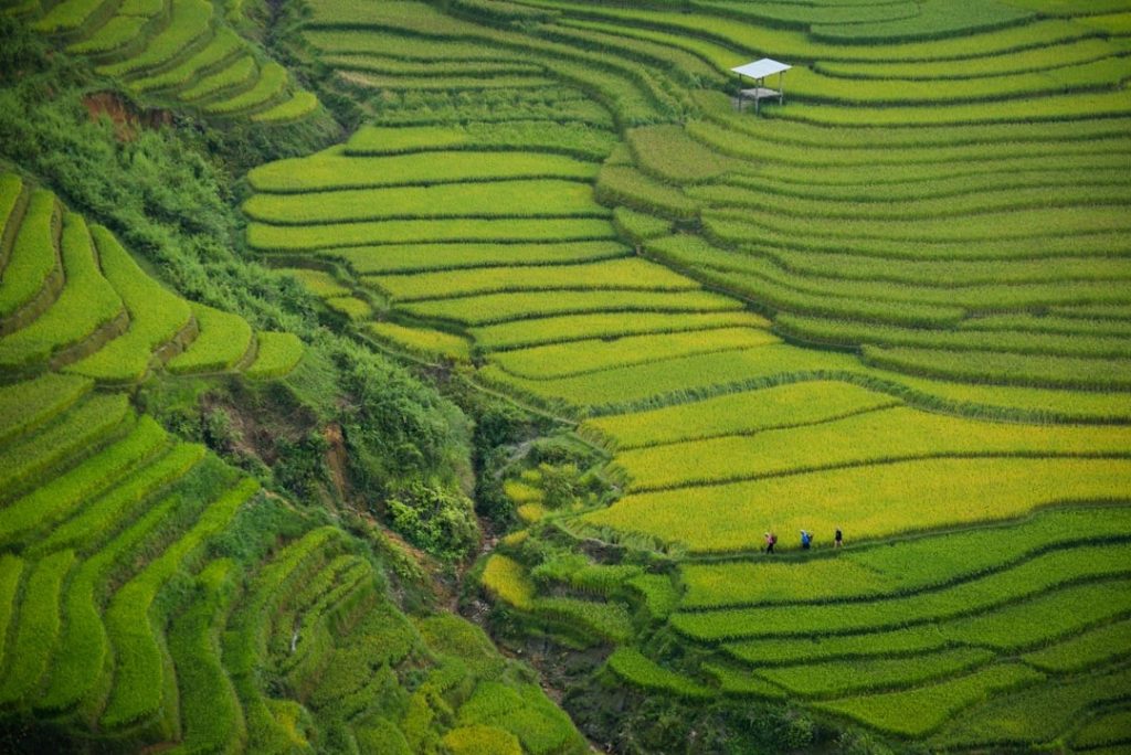 Avis voyage Vietnam