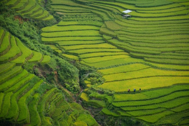Avis voyage Vietnam