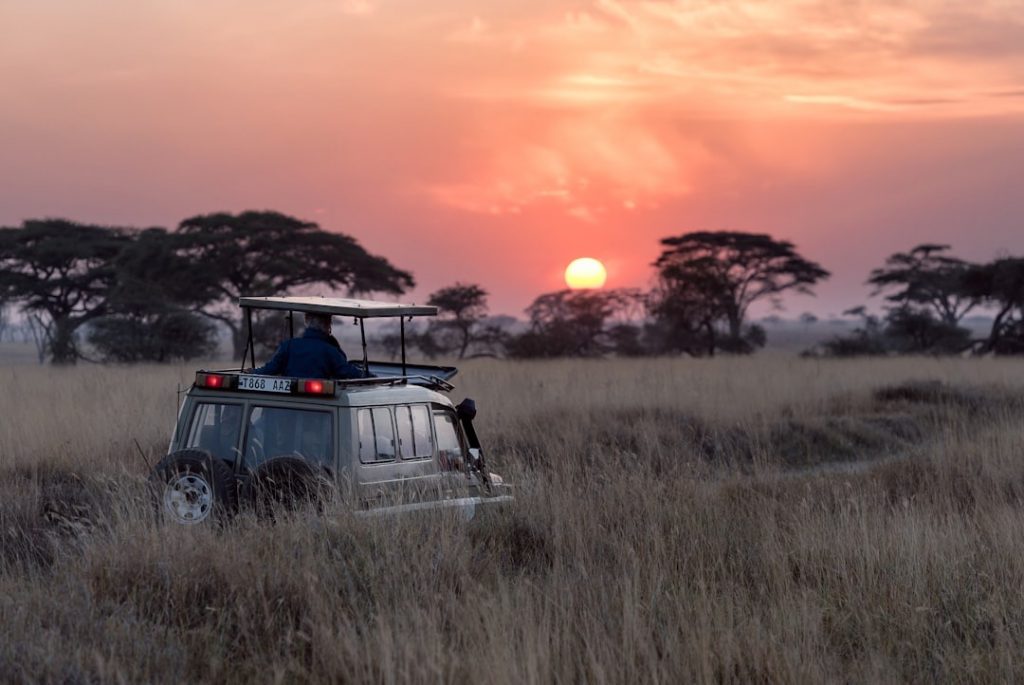 Voyage safari Tanzanie