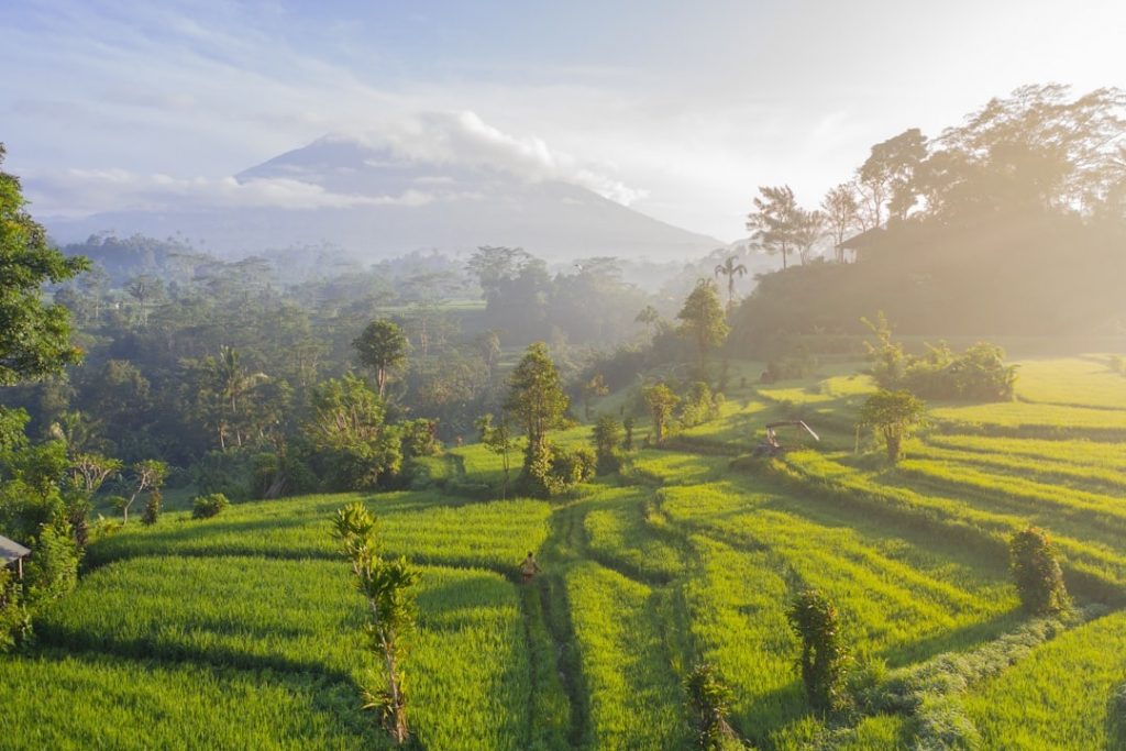 Voyager seule à Bali