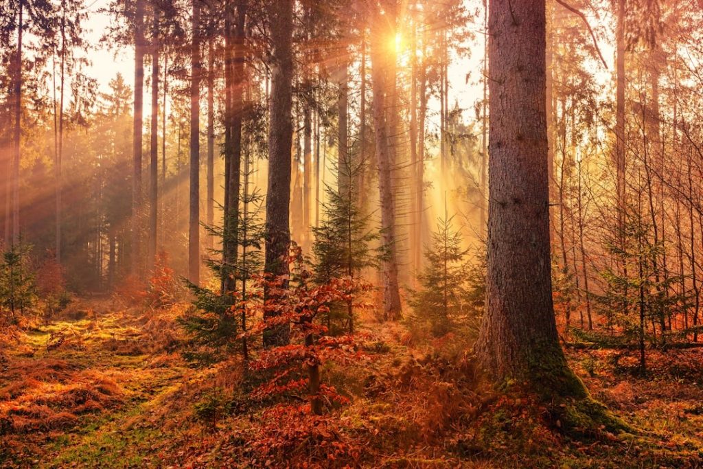 Où partir en automne