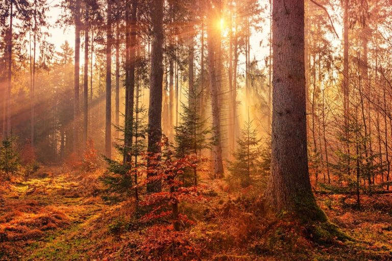 Où partir en automne