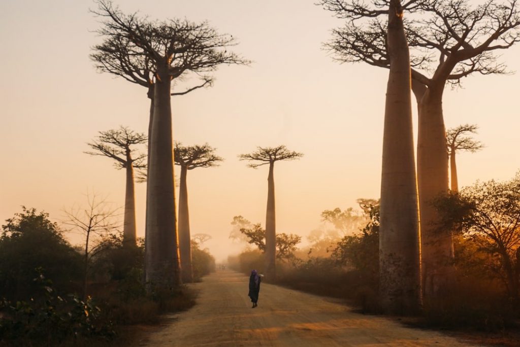 Où partir en octobre : Madagascar
